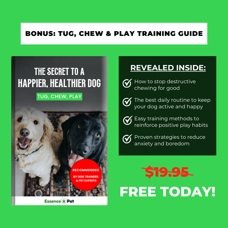 EssencePet™ Bungee Tug Toy