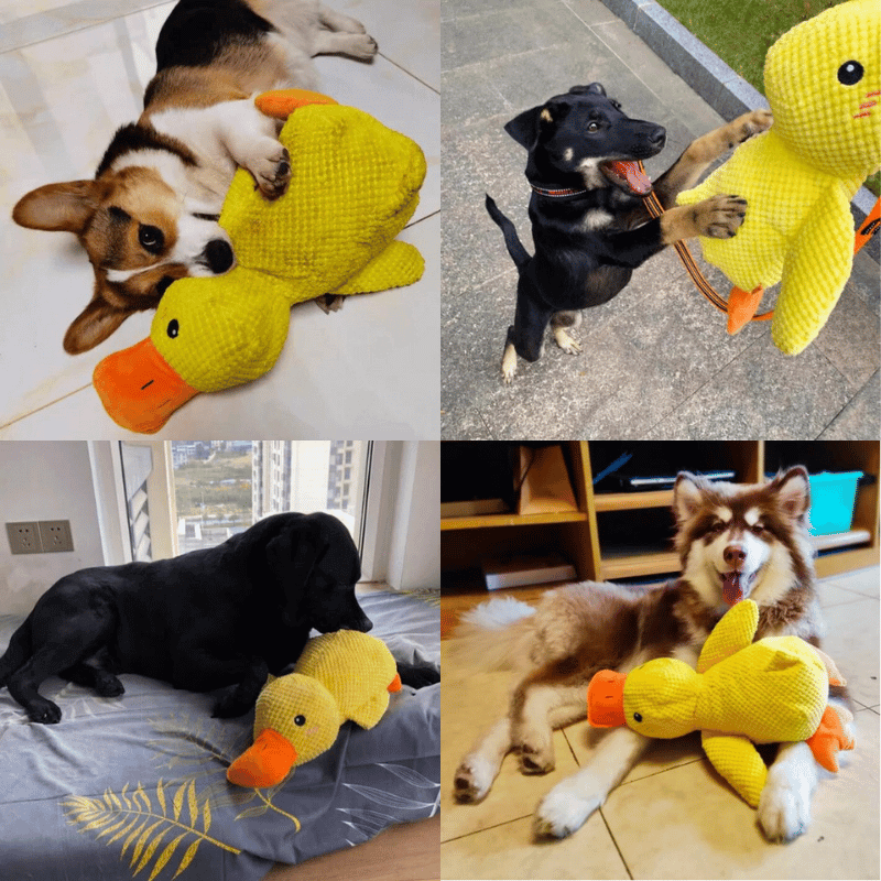 EssencePet™ Mellow Duck Buddy