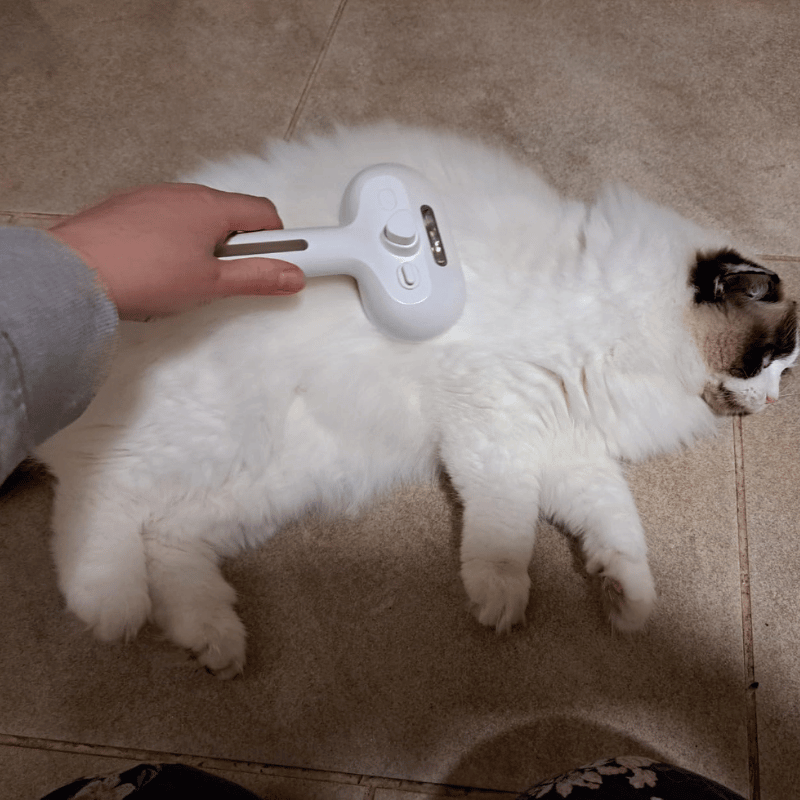 EssencePet™ Spray Self Cleaning Comb