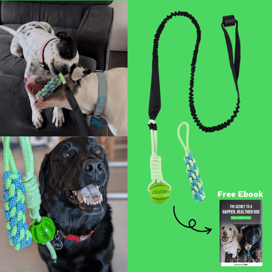 EssencePet™ Bungee Tug Toy