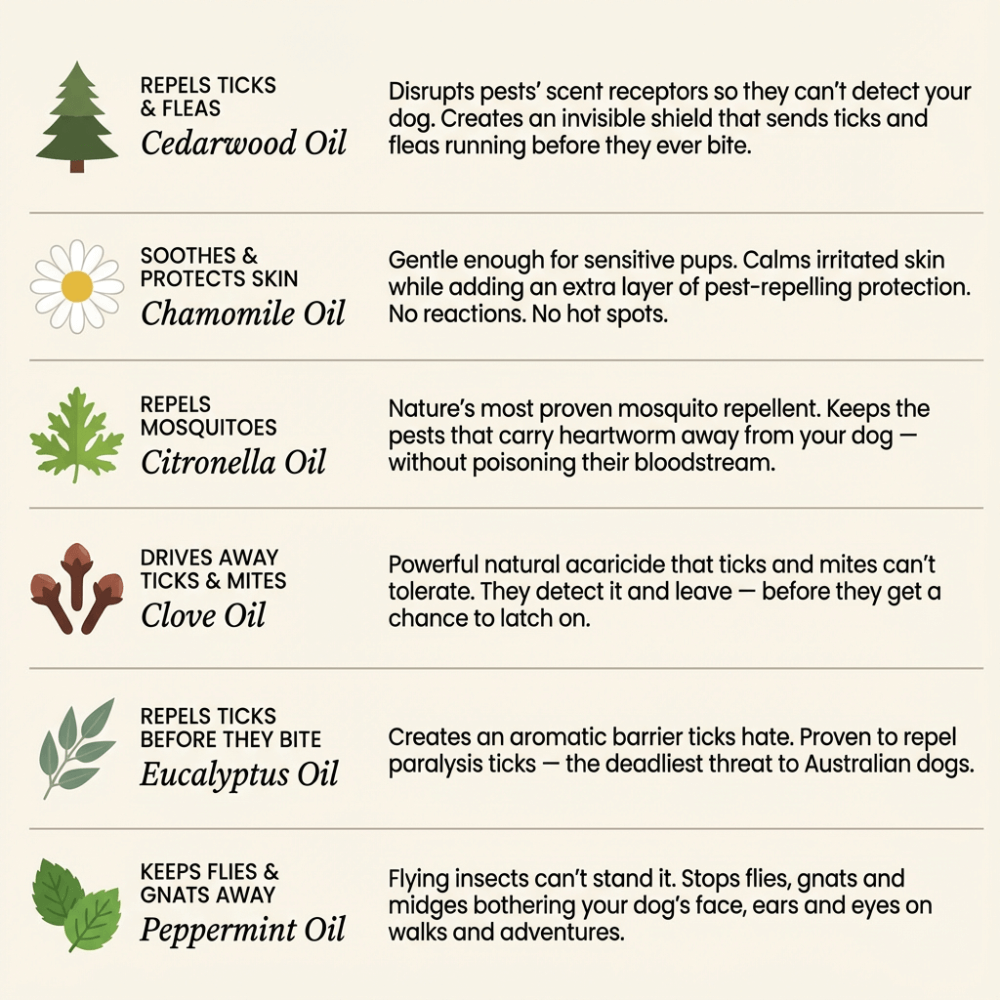 EssencePet™ 12 Months of Natural Flea & Tick Protection for Dogs