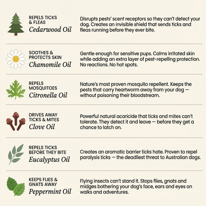 EssencePet™ 12 Months of Natural Flea & Tick Protection for Dogs