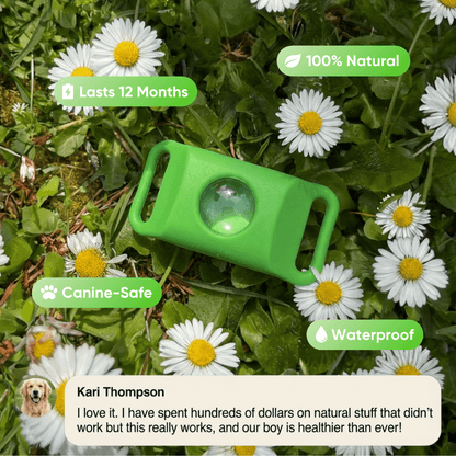 EssencePet™ 12 Months of Natural Flea & Tick Protection for Dogs