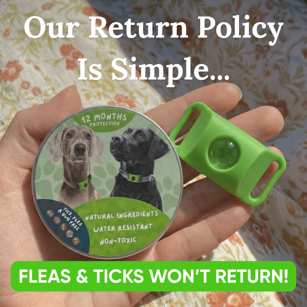 EssencePet™ 12 Months of Natural Flea & Tick Protection for Dogs
