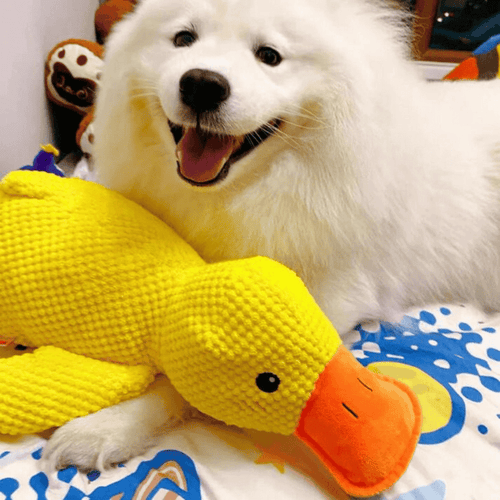 EssencePet™ Mellow Duck Buddy