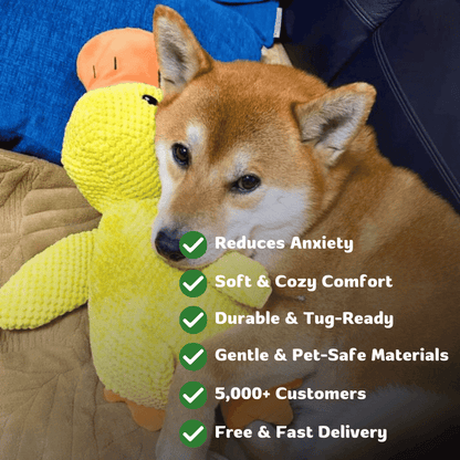 EssencePet™ Mellow Duck Buddy
