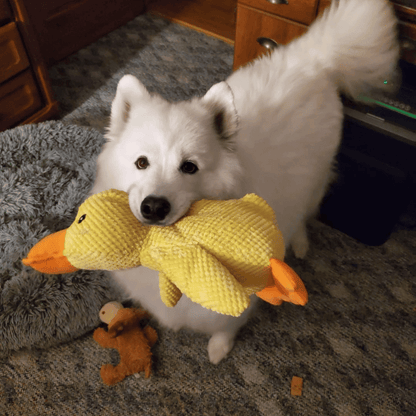 EssencePet™ Mellow Duck Buddy