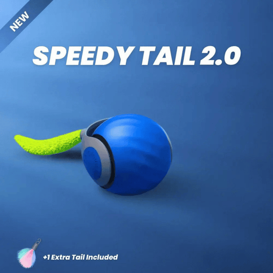 Speedy Tail 2.0